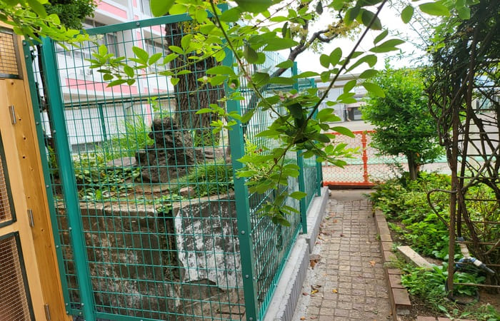 飼育施設完成様子