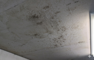 岩綿吸音板施工前